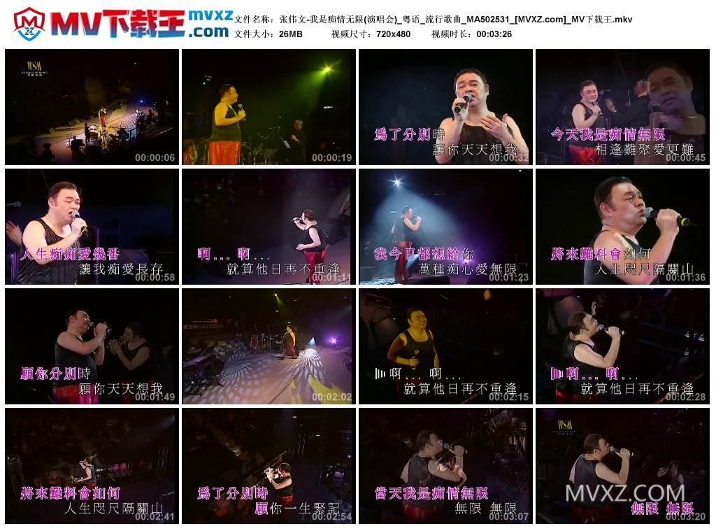 张伟文-我是痴情无限(演唱会)_粤语_流行歌曲_MA502531